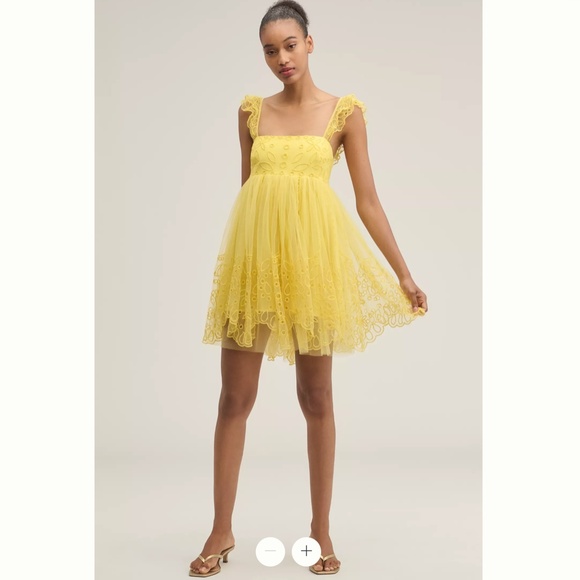 Anthropologie Let Me Be Eyelet Tulle Mini Dress - Picture 2 of 4
